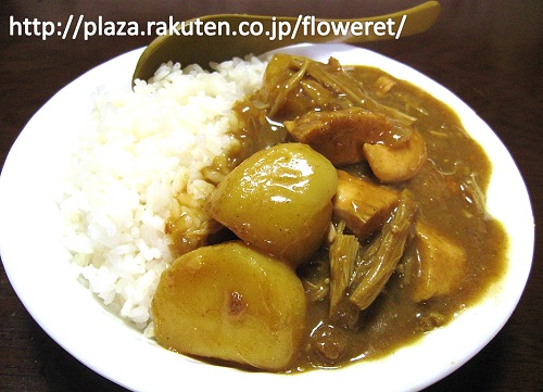 カレー2.jpg
