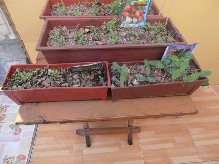 sP1040019.JPG