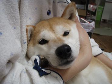むぎゅぎゅ