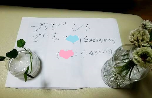 hahanohi1.jpg