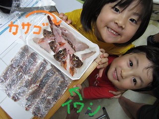 H25.6.30　いわし♪