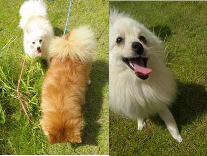20120906_3.jpg