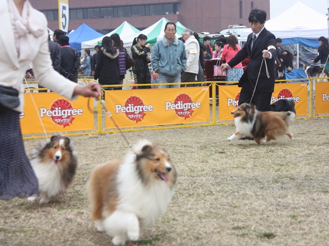 IMG_0850 - コピー.JPG