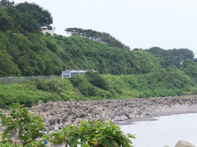 DSCF0938.jpg