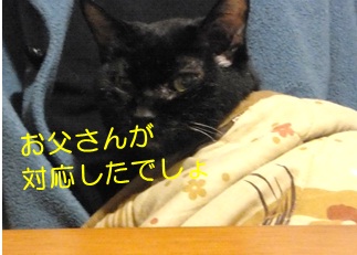 20121025_2.jpg