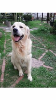 130730_1838~03 (1).jpg