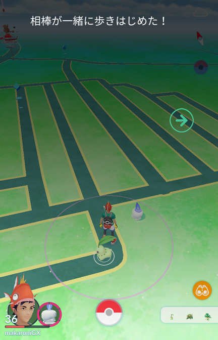 ポケモンgo 相棒と冒険だと ﾟdﾟ マカロニgxのブログ ブタ小屋 楽天ブログ