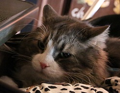 IMG_7380-28.jpg