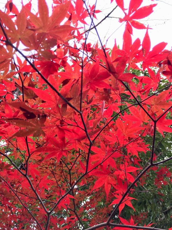 rblog-20161129090114-09.jpg