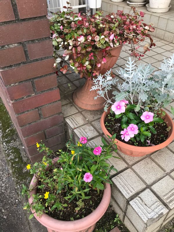 rblog-20180624181444-03.jpg