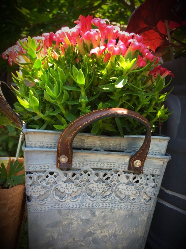 rblog-20150531143715-04.jpg