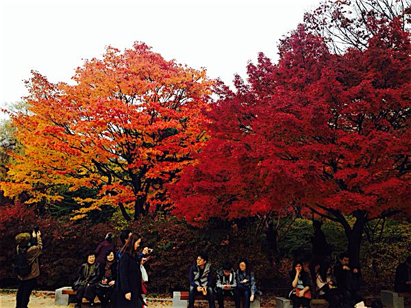 rblog-20151116205058-00.jpg