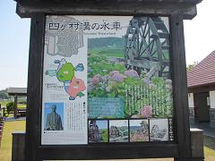 IMG_2153.jpg