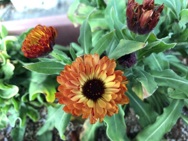 rblog-20170227213621-02.jpg