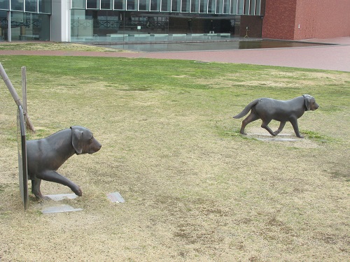 犬も歩けば・・・・・