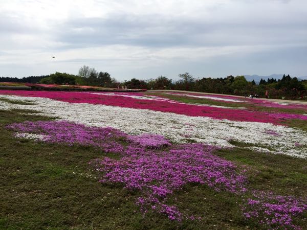rblog-20160416204812-07.jpg
