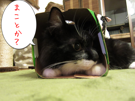 U_KWY_Sjg0XL8wG1373265519_1373265652.png