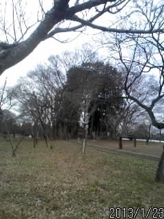 足利義氏の墓所１