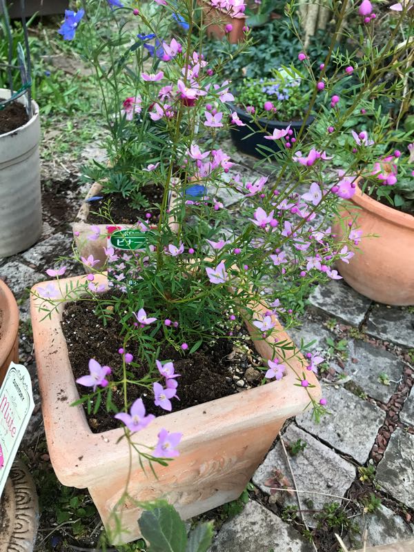 rblog-20190324173828-08.jpg