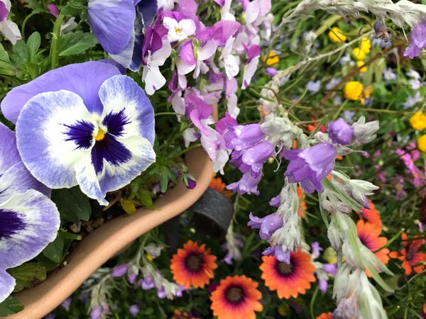 rblog-20190419193545-05.jpg