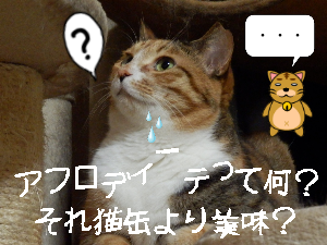 P6140041.png