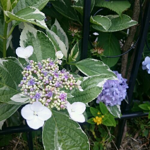 rblog-20180602095046-01.jpg