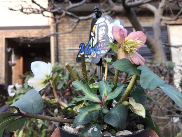 rblog-20170227213813-05.jpg