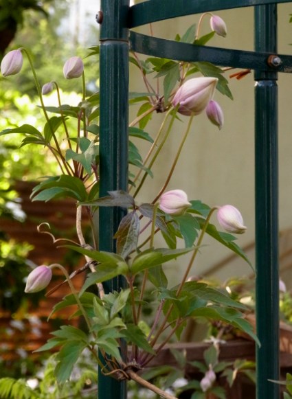 RIMG8659.JPG