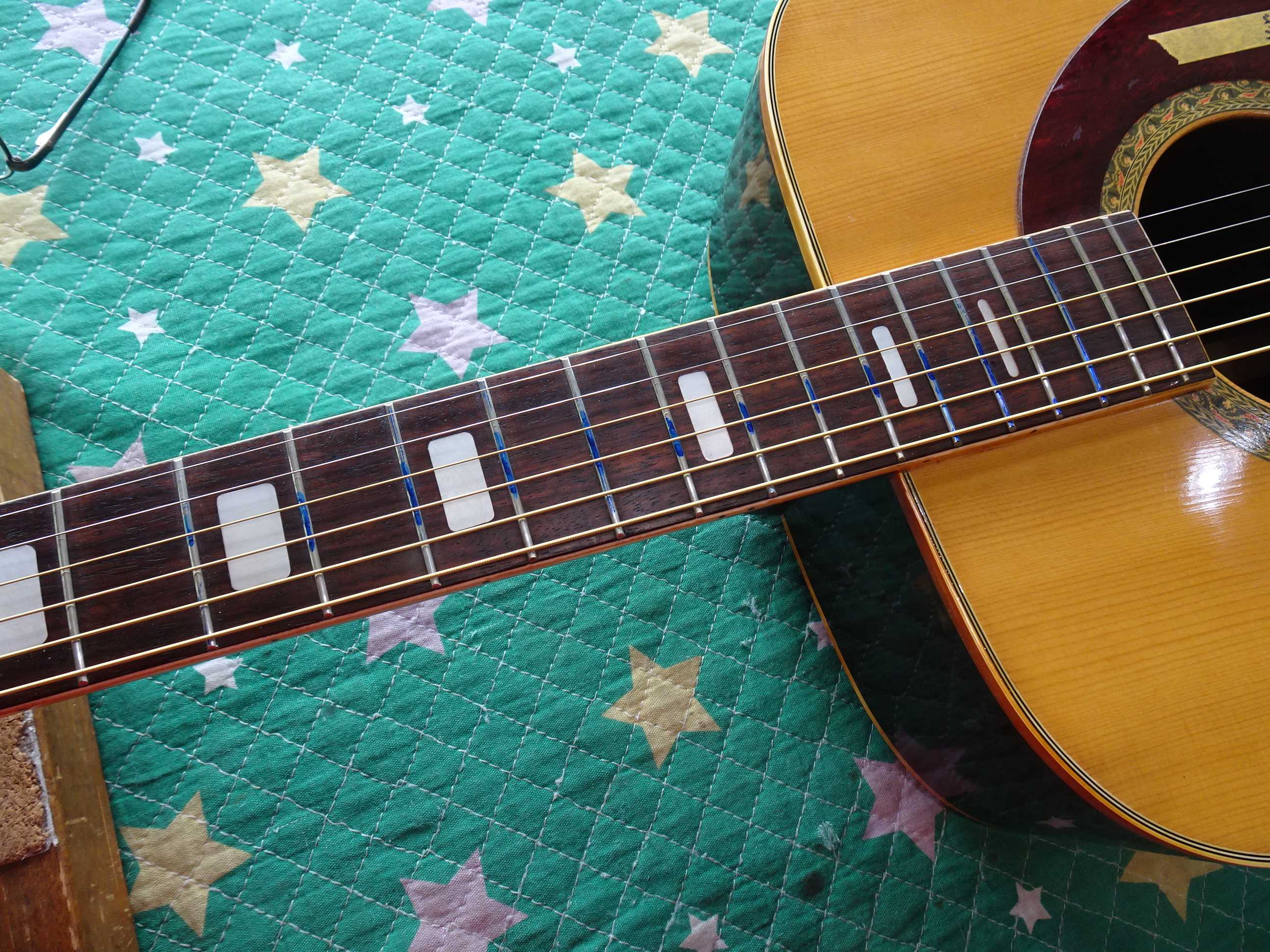 TAKEHARU WT-250