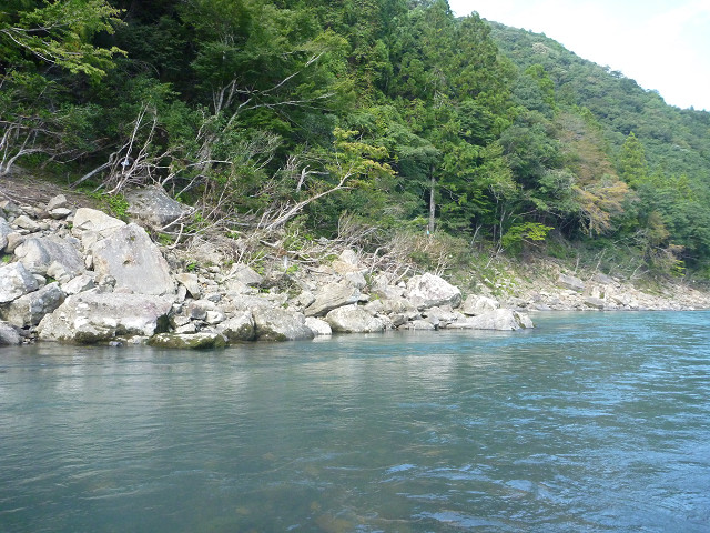 resize0010.jpg