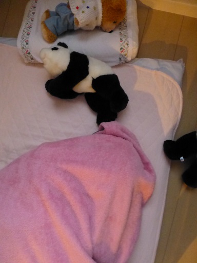 朝の様子　あてにならないパンダもいます