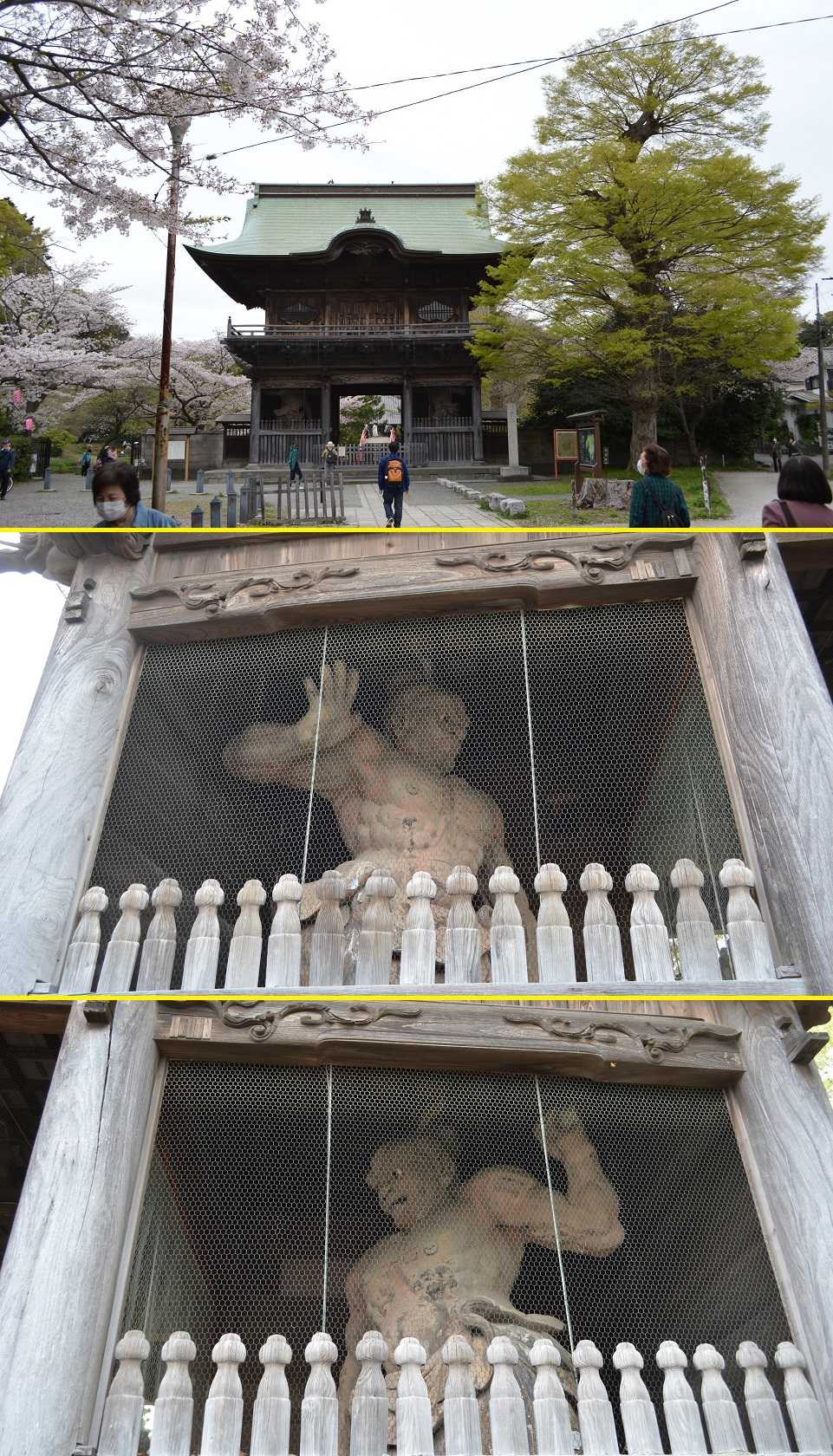 「東京都武蔵野郷土館調査報告書第一冊ー横浜市称名寺貝塚ー」 東京都武蔵野郷土館調査報告書第一冊ー横浜市称名寺貝塚ー