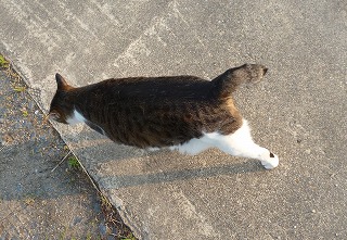 P1200632-ass.jpg