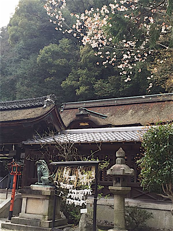 rblog-20160417093357-05.jpg
