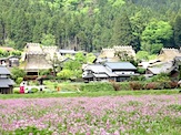 IMG_1373.JPG