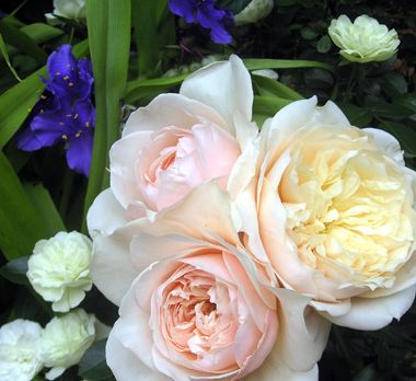 トロワラス バラ香るエクステリアプランナーのお庭 楽天ブログ