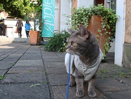IMG_4033-26.jpg