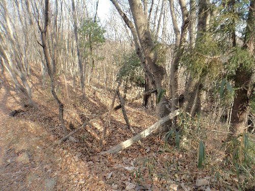 秩父・宝登山497．1m山行で幸せの香り満喫 | やっぱり山と花が好き - 楽天ブログ