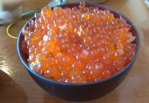 お子様いくら丼（伊東高原ビールレストラン￥1200）