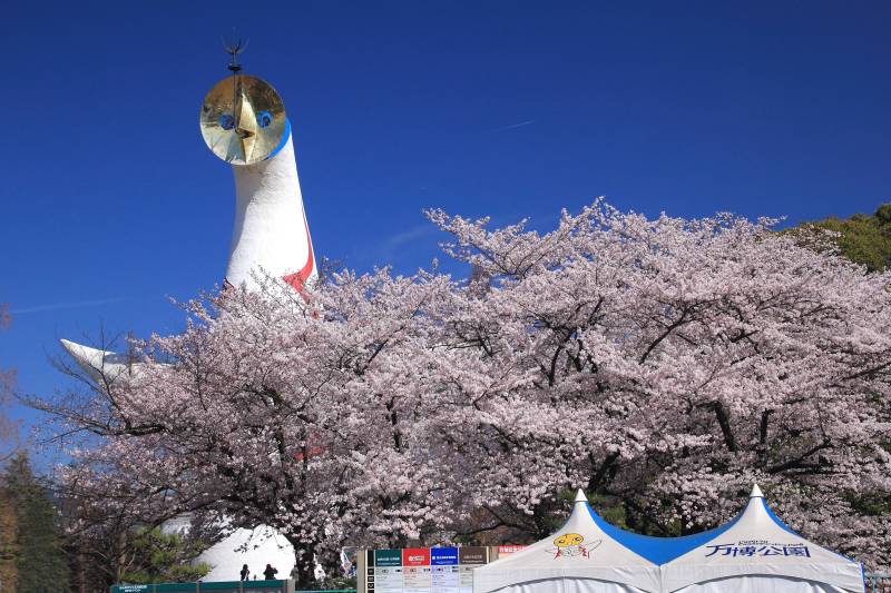 万博記念公園_008.jpg