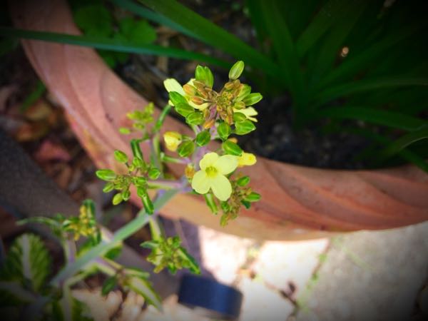 rblog-20150331195641-01.jpg
