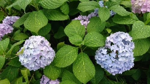 rblog-20180607123647-00.jpg