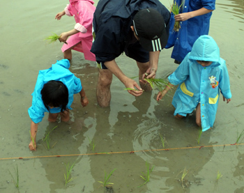 田植え３