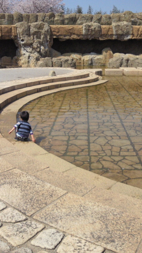 2013033011260000.jpg