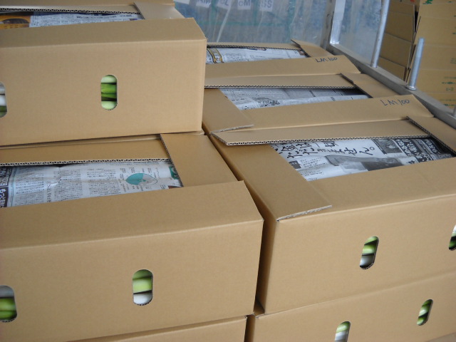DSCN1083.JPG
