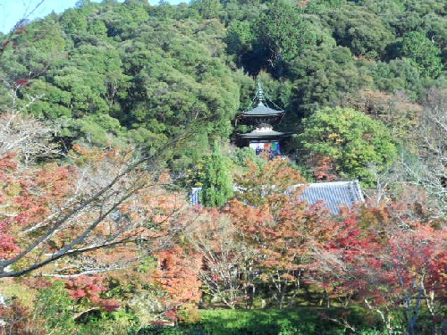 2015-11-20 永観堂・多宝塔と方生池の紅葉.jpg