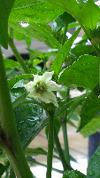 rblog-20130616160202-02.png