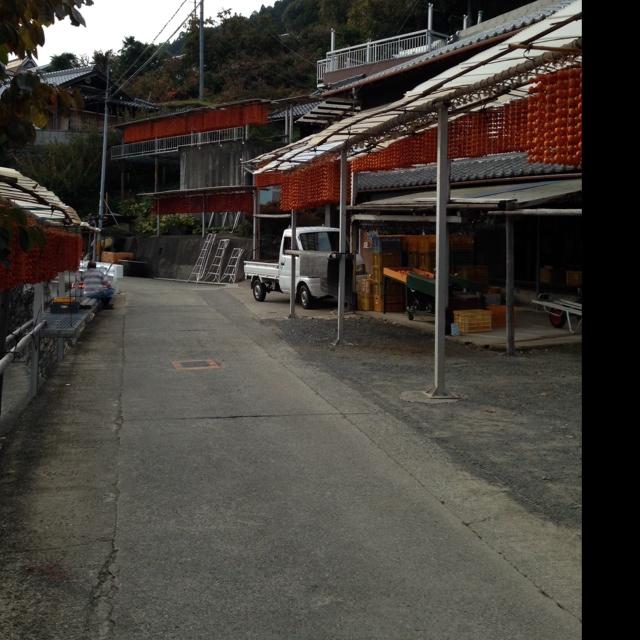 rblog-20131111134527-03.jpg