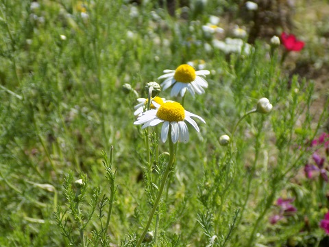 DSCN2216.JPG