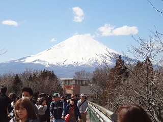 DSC00207.jpg